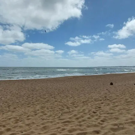 Marea - Visitopl 米兹多洛杰